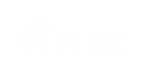 Pilot