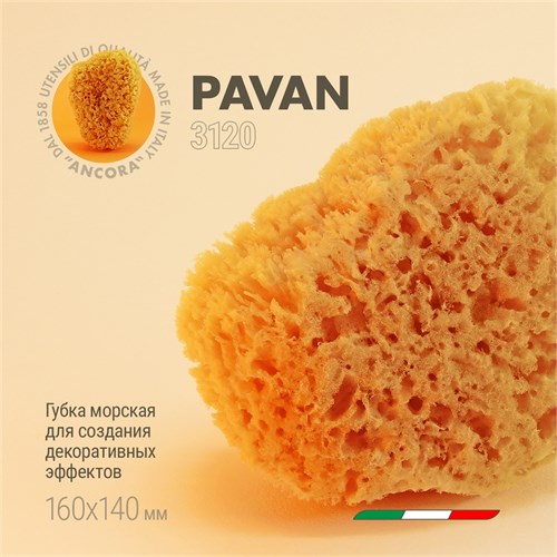 Pavan Губка морская натуральная для декоративных работ, 14-16 см 3120(S0112503) - фото 13525